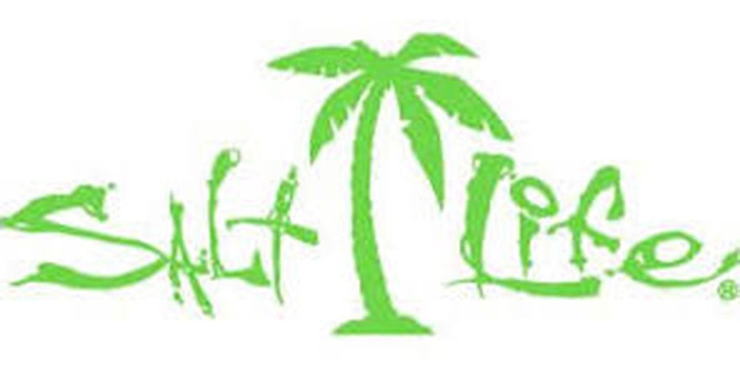 Salt Life Signature Palm Decal Small Lime