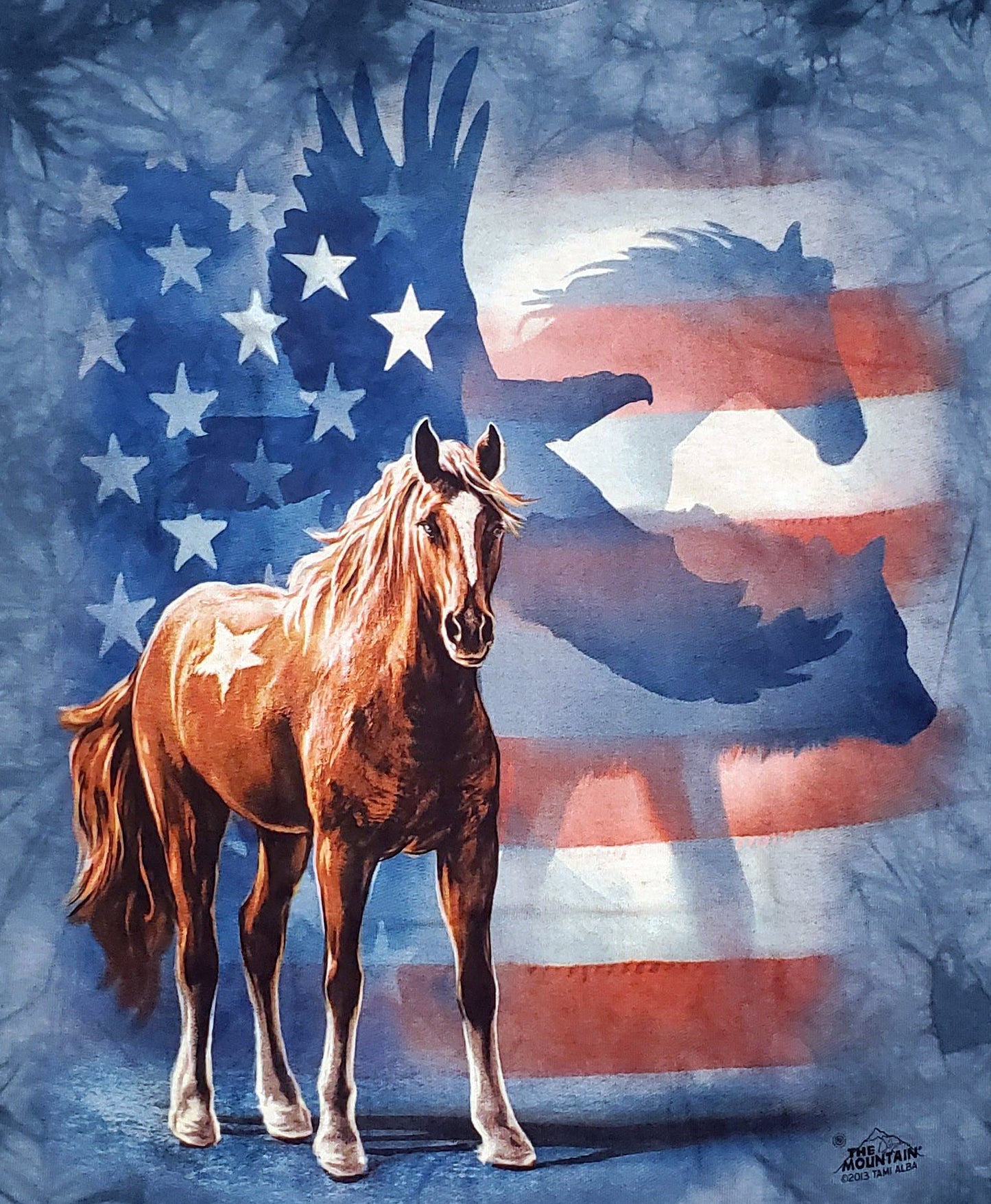 The Mountain Men's Wild Star Flag T-Shirt