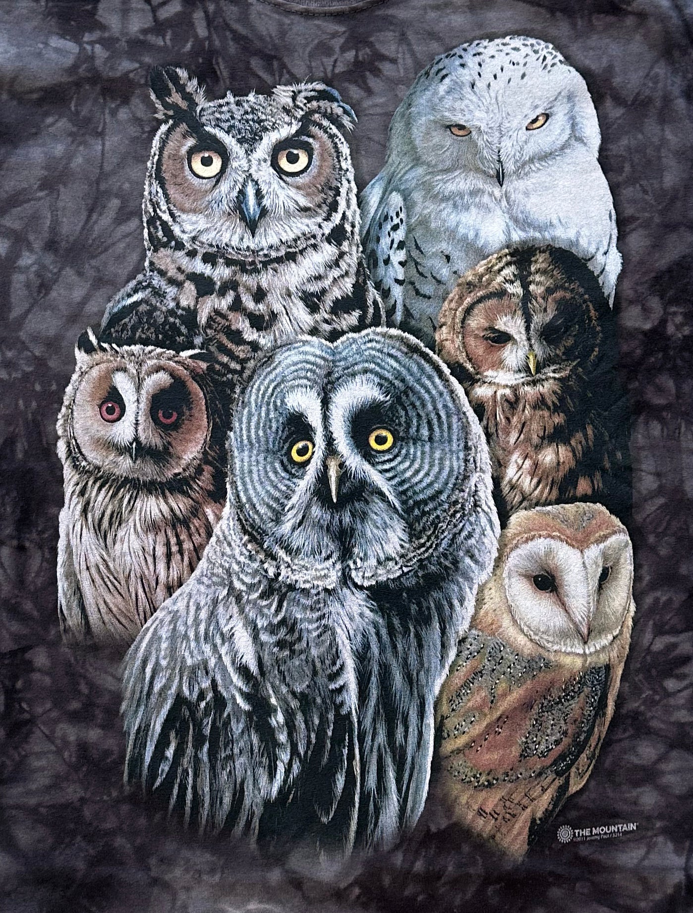 The Mountain Men's Owls T-Shirt