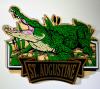 Alligator St. Augustine Rubber Magnet