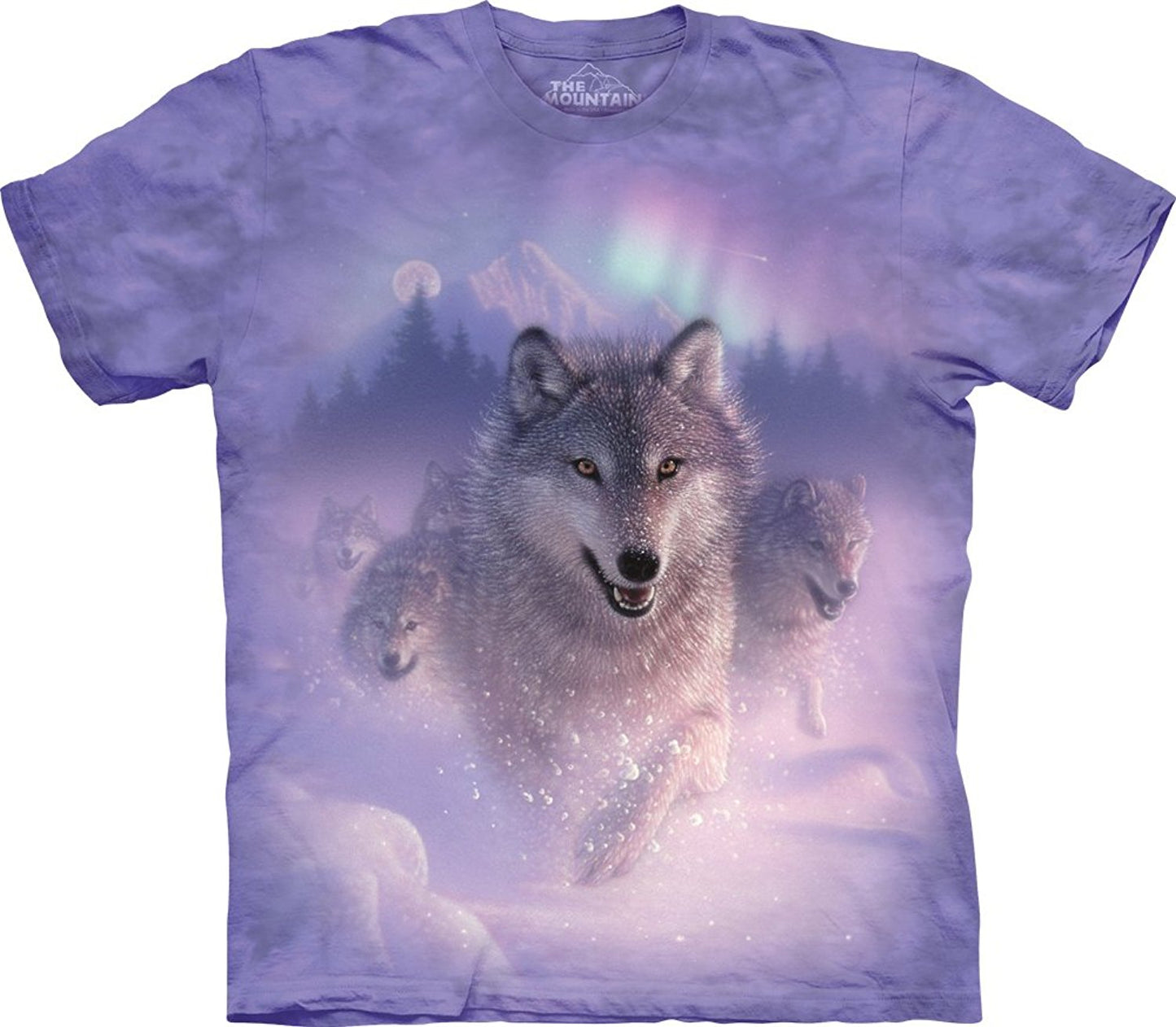 The Mountain Men's Northern Lights T-Shirt