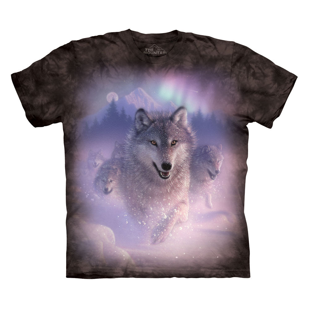 The Mountain Men's Northern Lights T-Shirt