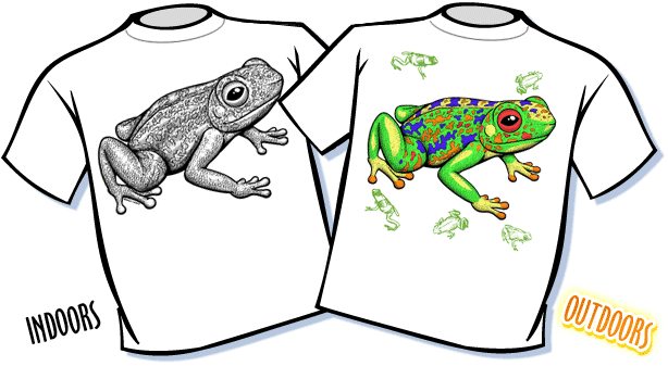 Magic T-shirts Big Frogs Youth T-shirt