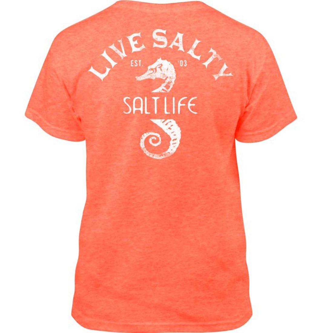 Salt Life Big Boys Majestic Seas T-Shirt
